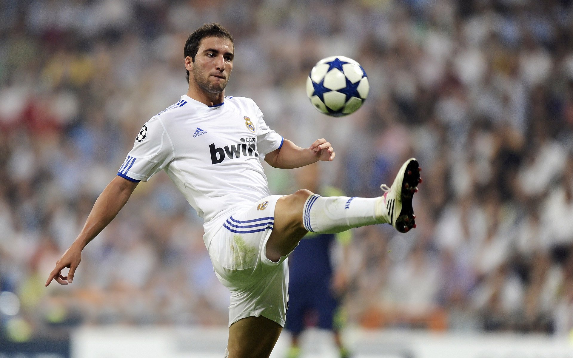 当骑士剑指麦迪逊，戈贝尔铁壁镇欧洲—体育之夜的平行传奇